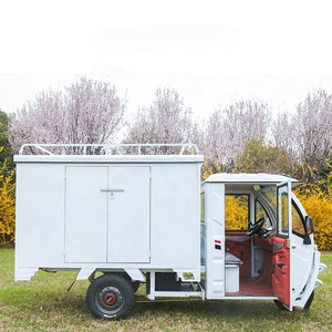 Repuestos para Triciclo Eléctrico de Carga <span class=keywords><strong>con</strong></span> Batería de Litio y Plomo-Ácido, Cabina para Triciclo Eléctrico, Furgoneta Eléctrica Pequeña - Product Image 3