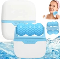 Nouveau Rouleau de Glace pour le Visage et les Yeux, Mini Rouleau Facial Portable et Rafraîchissant, Outils de Soins Personnels de la Peau avec Rouleau 2-en-1 et Étui de Transport