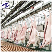 Ligne d'abattage porcin clé en main, équipement d'abattage clé en main, fabricant d'équipements d'abattage, usine d'abattage porcin