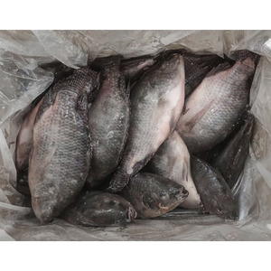 Pesce Tilapia Congelato All'Ingrosso, Tilapia Nera Intera 400-600g Importata dalla Cina - Product Image 5