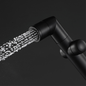 HONGDEC 2 функции унитаза биде распылитель Биде набор биде набор - Product Image 2
