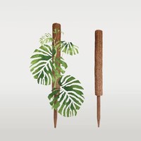 Poteau de Soutien pour Jardinage Domestique en Palmier de Coco Naturel Pliable et Écologique avec Fonction Extensible et Design Minimaliste