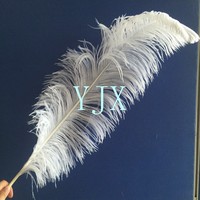 55-60cm plumes d'autruche en gros grandes plumes aile mur fête de mariage pour déco plume d'autruche