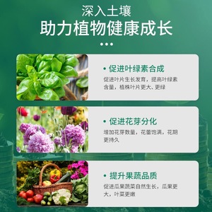 1000g - Product Image 3