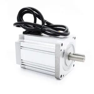 New ROHS CE and REACH certificate 760W 48v Brushless Dc Electric Motor for van automatic car reversible battery power 48V motor