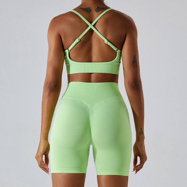 Fitness Apparel Seamless Clothing Active Wear Yoga Shorts and Sexy Sports Bra Wholesale Women Yoga Set