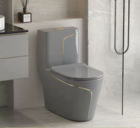 WC monobloc allongé moderne en céramique gris avec ligne dorée, à poser au sol, ensemble de toilettes