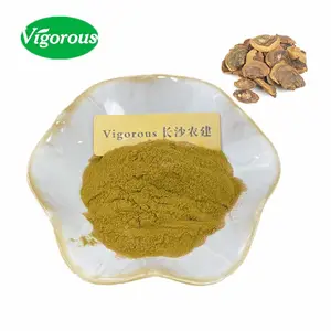 Organic Umbellate Pore Fungus Extract Phellinus Igniarius Extract Polysaccharides