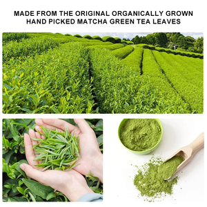 Thé vert matcha biologique de qualité cérémonielle en vrac en gros, poudre de matcha instantanée de qualité alimentaire - Product Image 4