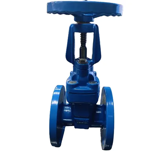 Gate Valve Z41X Ductile Iron PN10/16 Flanged Rising Stem Brass SS Rubber Water 1 Piece TWS General 3 Years Water Oil Gas Manual