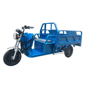 Chang Li 1000W 3 Wiel Elektrische Cargo Driewieler Voor Carrying Goederen