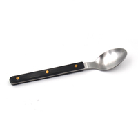 Ensemble de 5 couverts modernes en acier inoxydable noir avec manche en forme de saule, comprenant couteau à steak, fourchette et cuillère, en plastique, pour la vente en gros