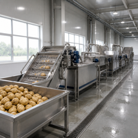 Industriële productielijn voor frites van TCA, SUS304 automatische aardappelchipsverwerkingsinstallatie voor snackfabrieken, bulk.