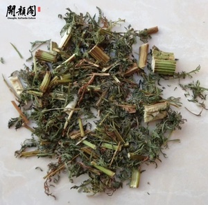 KAIYANGE gros <span class=keywords><strong>Artemisia</strong></span> séchée chinoise Annua coupes de plantes Huang hao sauvage séché <span class=keywords><strong>Artemisia</strong></span> Annua parties hors sol <span class=keywords><strong>tisane</strong></span> - Product Image 3