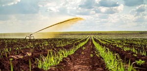 BTS phân bón với lưu huỳnh cao cho sức khỏe đất và thu hoạch lớn hơn - Product Image 6