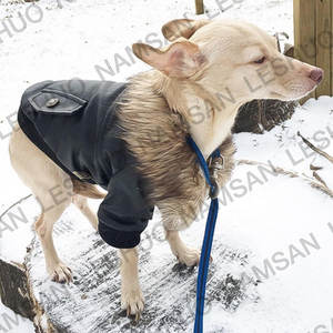 Abrigo de invierno para perros-Impermeable para perros pequeños - Product Image 2