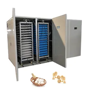 Machine incubateur automatique pour œufs, couveuse haut de gamme, prix d'usine