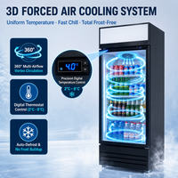 Réfrigérateur commercial vertical économique pour boissons, vitrine réfrigérée à refroidissement direct, porte vitrée, contrôle LED, verrouillage de porte