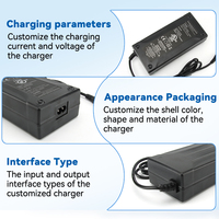 C200 Balance Fonction de mémoire de charge pour batterie UAV longue endurance Chargeur de batterie intelligent Chargeur de batterie de robot industriel