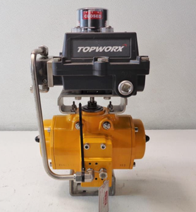 คอนโทรลเลอร์คุณภาพสูง TopWorx DX-Series รุ่น DXP ระบบอัตโนมัติอัจฉริยะ |   การควบคุมกระบวนการอุตสาหกรรม - Product Image 1