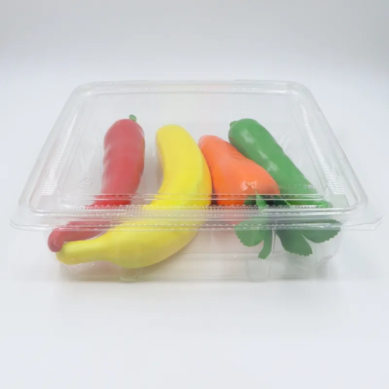 Contenedores de plástico con tapas transparentes, elegantes cajas cuadradas con bisagras para comida