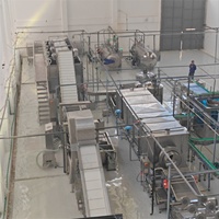 LWT Volledig Automatische Hoge Efficiëntie Geconserveerde Bonen Snoep Groente/Fruit Productielijn Verwerkingscapaciteit 1~60 Ton