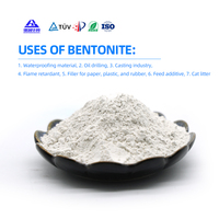 Litière pour chat en zéolite naturelle, forte absorption d'eau, faible émission de poussière, contrôle efficace des odeurs, pour chats et petits animaux
