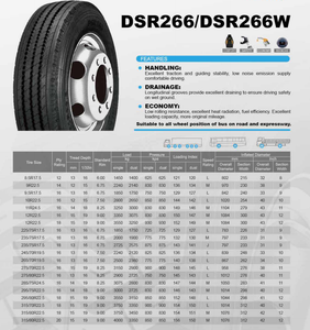 Pneus spéciaux camion et bus 305/75R24.5 DOUBLESTAR DSR266 Toway avec garantie - Product Image 6