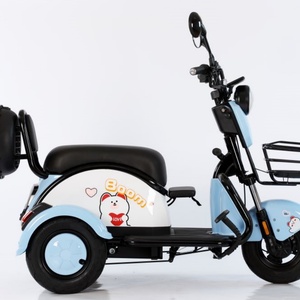 Electric Tricycles High Quality Fast Cheap 500w Motor 3 Wheels Color Customized Motorcycles for Adults <b>Passenger</b> - Product Image 2