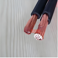DaDi Niederspannungs-Kupfer Flexibles Gummi-Isoliertes Schweißkabel 0,6/1kV Nennspannung 70°C Arbeitsstemperatur zum Schweißen