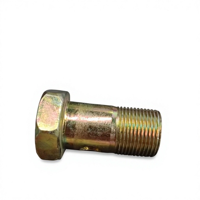 M16*1.5Metric Two-hole Hollow Screw