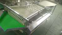 Professionele Mango Perzik Pruim Apple Fruit Sorteren Machine