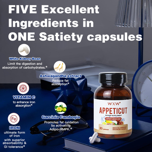 Capsules OEM certifiées GMP et les plus vendues : Garcinia naturelle et thé vert pour l'appétit et le métabolisme - Product Image 6