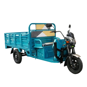 Triciclo eléctrico de carga pesada, motocicleta agrícola de <span class=keywords><strong>3</strong></span> <span class=keywords><strong>ruedas</strong></span> con motor de 1000W, rickshaw de 48V para pasajeros y carga, certificado EEC - Product Image 4