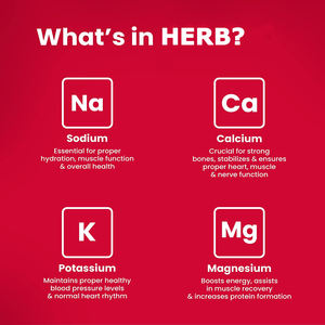 Poudre d'électrolytes et de vitamines et minéraux complexes pour le soutien énergétique, marque privée OEM/ODM - Product Image 5