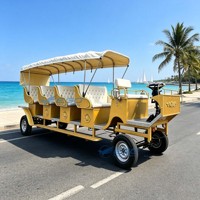 Vélo-voitures de tourisme personnalisables à prix abordable, velo-voitures classiques, velo-voitures de mariage/velo-voitures de parc paysager