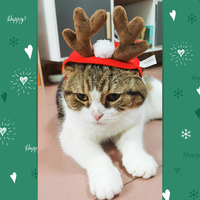 Ensemble de costumes de Noël pour petits animaux de compagnie en gros, comprenant un bandeau à cornes de renne et un chapeau pour les fêtes de fin d'année