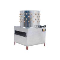 Plumeuse électrique automatique pour volailles (poulets, canards, oies, cailles) - Modèle tunnel