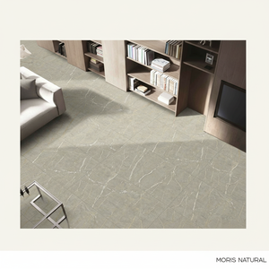 Azulejos de porcelana esmaltada con superficie decorativa tallada, ideales para diseños de pisos y paredes a gran escala en interiores sofisticados. - Product Image 1