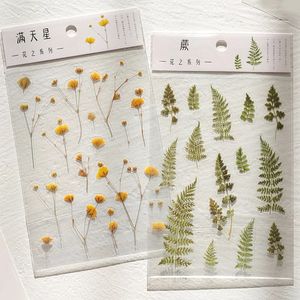 Pegatinas personalizadas con <span class=keywords><strong>palabras</strong></span> japonesas de trébol Margarita, flores transparentes, hojas, plantas, pegatinas decorativas - Product Image 5