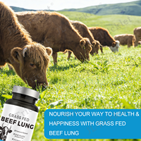 Suplemen Sapi Beku Kering Julong OEM, Kapsul Paru-Paru Sapi yang Diberi Makan Rumput untuk Dukungan Pernapasan, Heme Iron, Vitamin B12