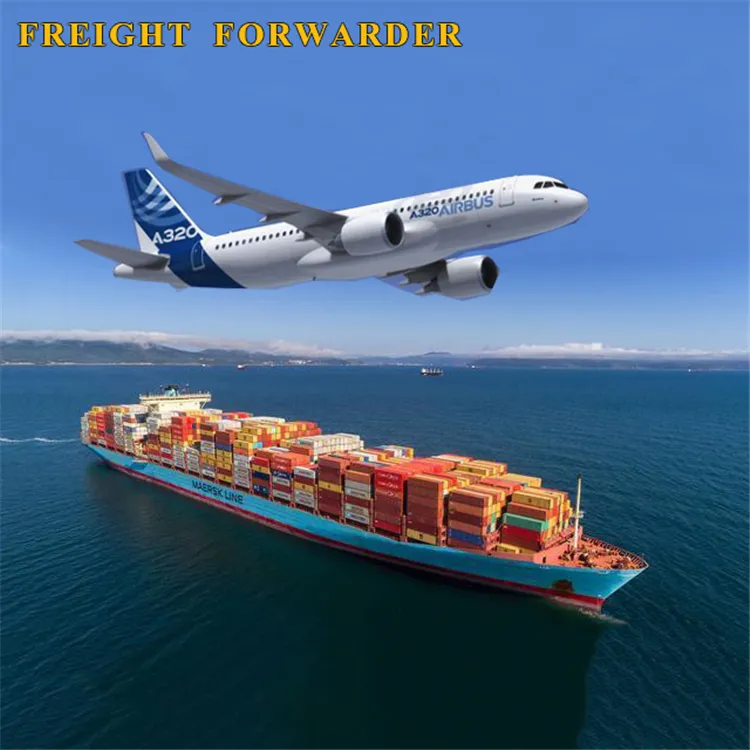 חינם סוכן אמזון Fba מציעים ציטוט Dhl Ups Fedex TNT EMS מפורש אוויר ים מטען מסין לארה"ב האיחוד האירופי אפריקה