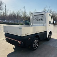 RUNHORSE EEC COC WVTA Homologation Véhicule utilitaire électrique à faible vitesse 65 km/h 80 km/h 270 KM EU Petit camionnette avec certificat L7e-Cu