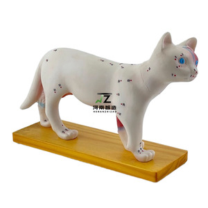 Equipo educativo veterinario, ciencia médica, modelo de acupuntura de gato de PVC, cuerpo Animal <span class=keywords><strong>para</strong></span> estudios médicos - Product Image 4