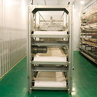 Nouvelle cage de ponte de poulet en acier de type H pour les fermes avicoles et les fermes d'élevage de poulets en batterie de type A