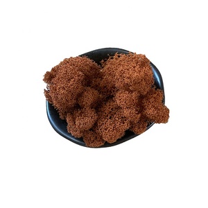 <span class=keywords><strong>D</strong></span>écoration intérieure de mousse verte pour la maison <span class=keywords><strong>d</strong></span>écor préservé mousse <span class=keywords><strong>d</strong></span>'art - Product Image 4