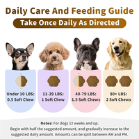 Friandises à mâcher molles personnalisées pour chiens, enrichies en enzymes et probiotiques, favorisent une digestion saine et un tractus intestinal équilibré