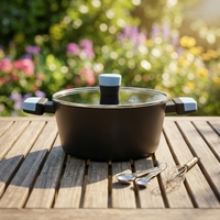 Casserole en aluminium antiadhésive avec poignées résistantes à la chaleur, couvercle en verre, compatible induction et gaz