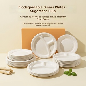 Assiettes jetables biodégradables en pulpe <span class=keywords><strong>de</strong></span> canne à sucre, plateaux à gâteau d'anniversaire pour barbecue, assiettes à dîner en canne à sucre - Product Image 5