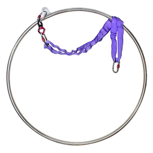 Ensemble de cerceaux aériens Wellshow Sport Lyra Hoop avec matériel de gréement Cerceau unique en acier inoxydable Circus Idéal pour le studio de danse - Product Image 3